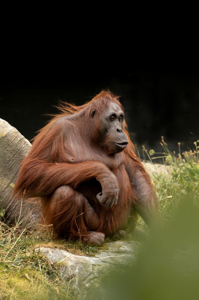 Photograph by Irene Pravdiuk