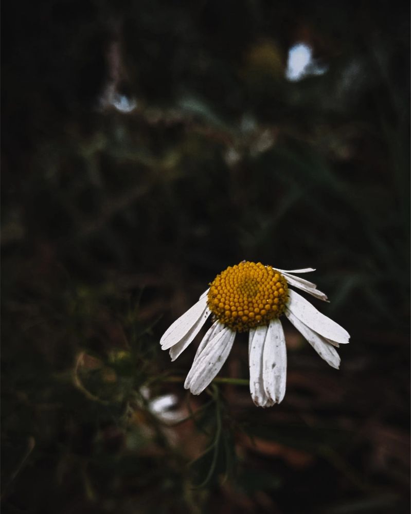 Photograph by Дарья Макаревич