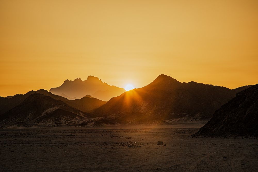 Фотография автора diana van hoof