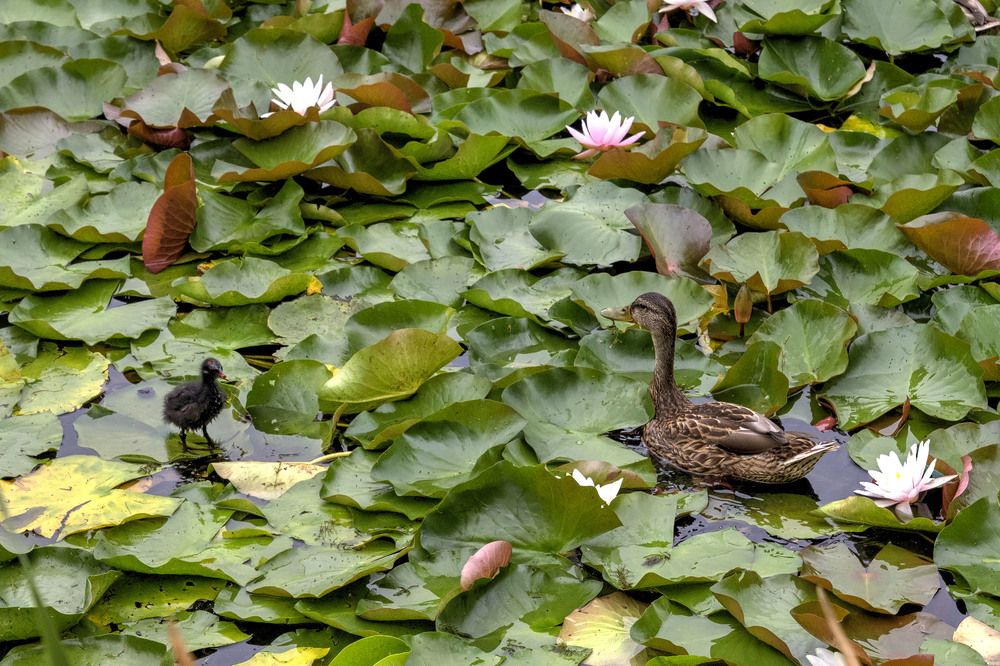 Photograph by Павел