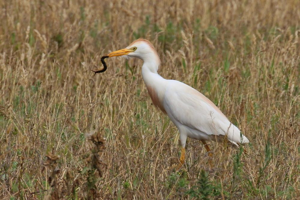 Photograph by Прокопов Григорий