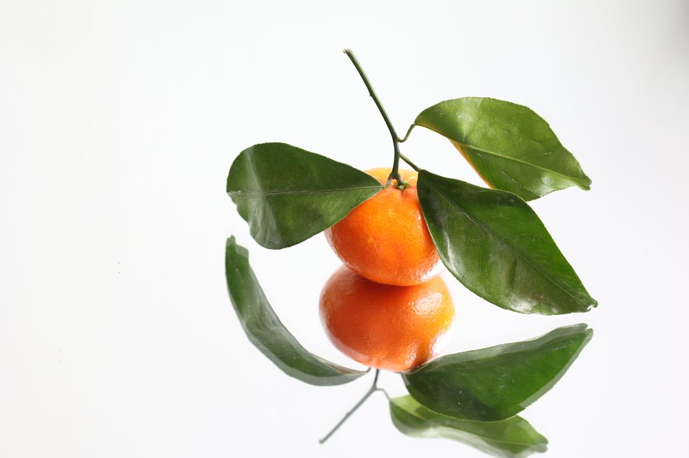 Photograph by Tatiana Serova