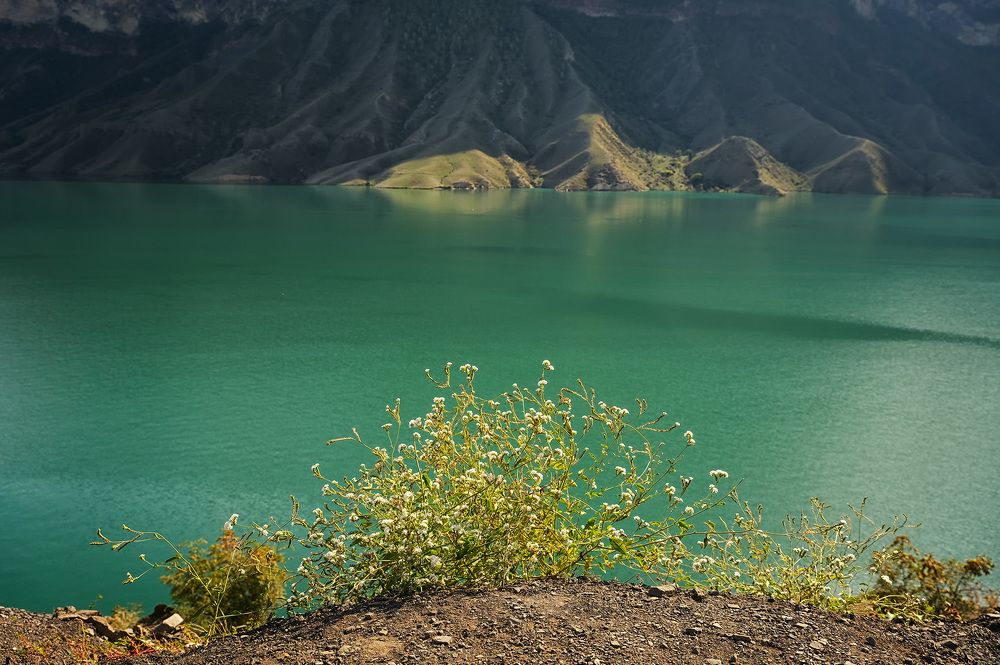 Photograph by Галина Юдина