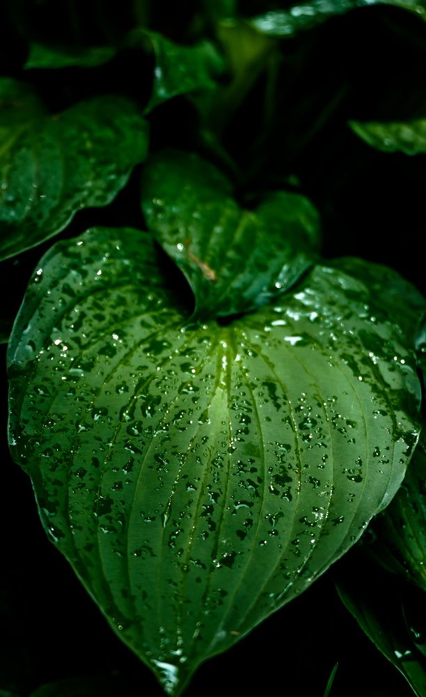 Photograph by Greg Noakes