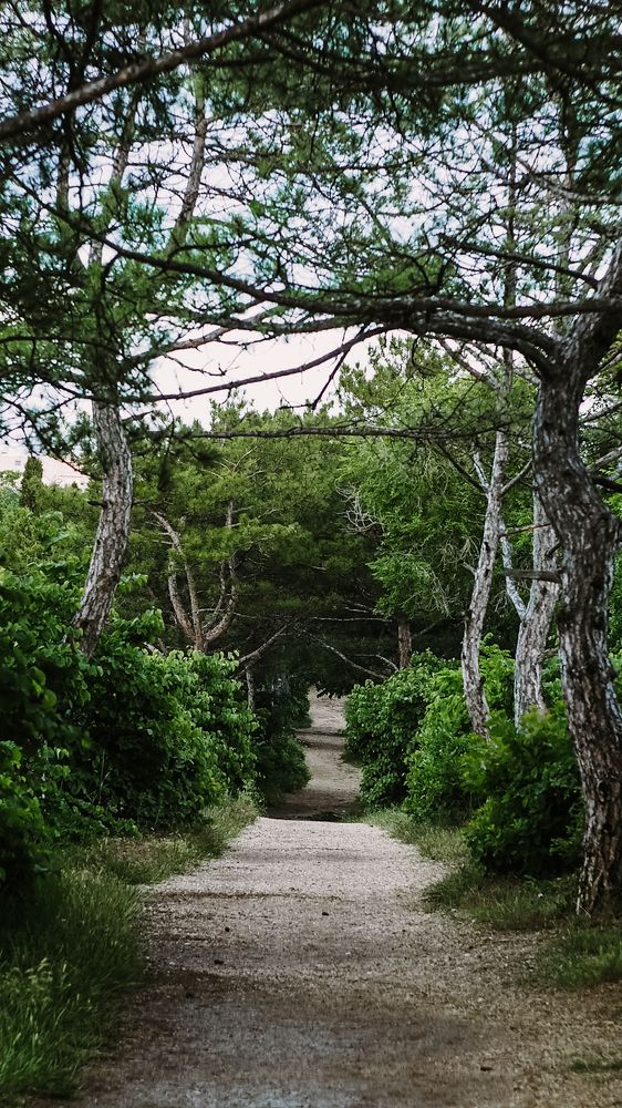 Photograph by Татьяна Шевченко