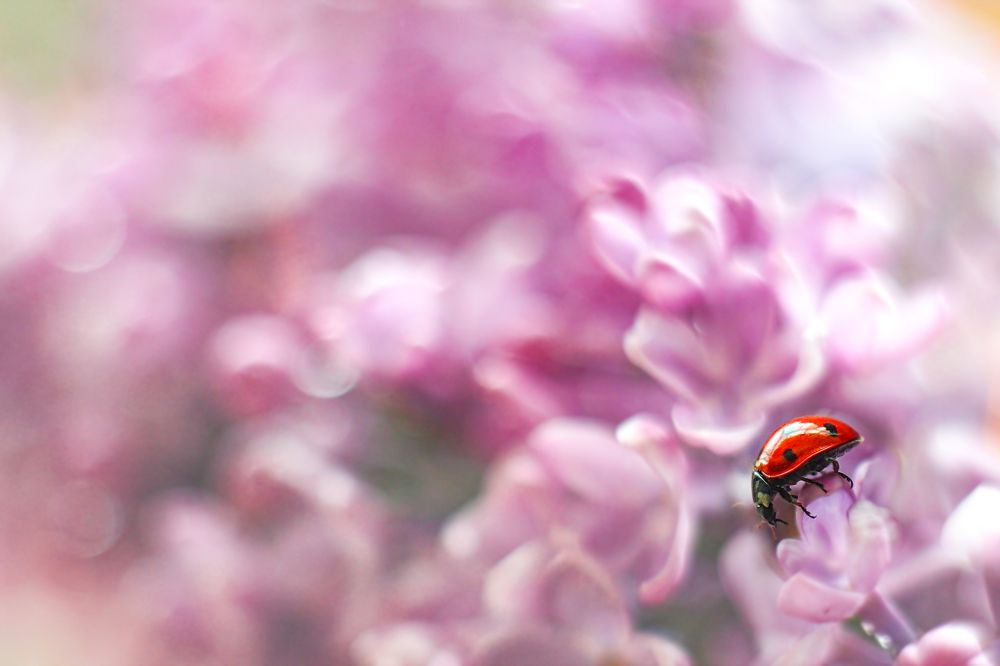 Photograph by Александр Молотков