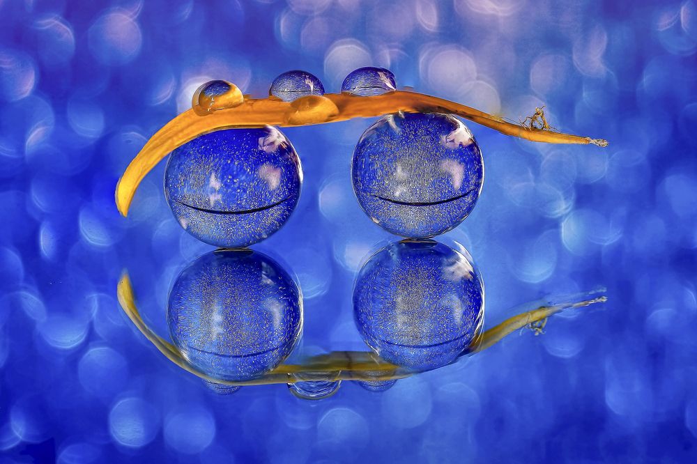 Photograph by António Manuel de Pereira