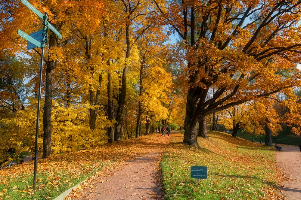 Photograph by Светлана Ващенко