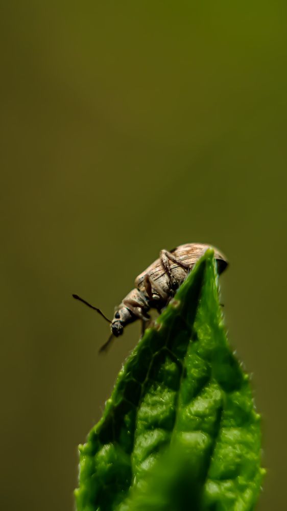 Photograph by Никита Ермаков