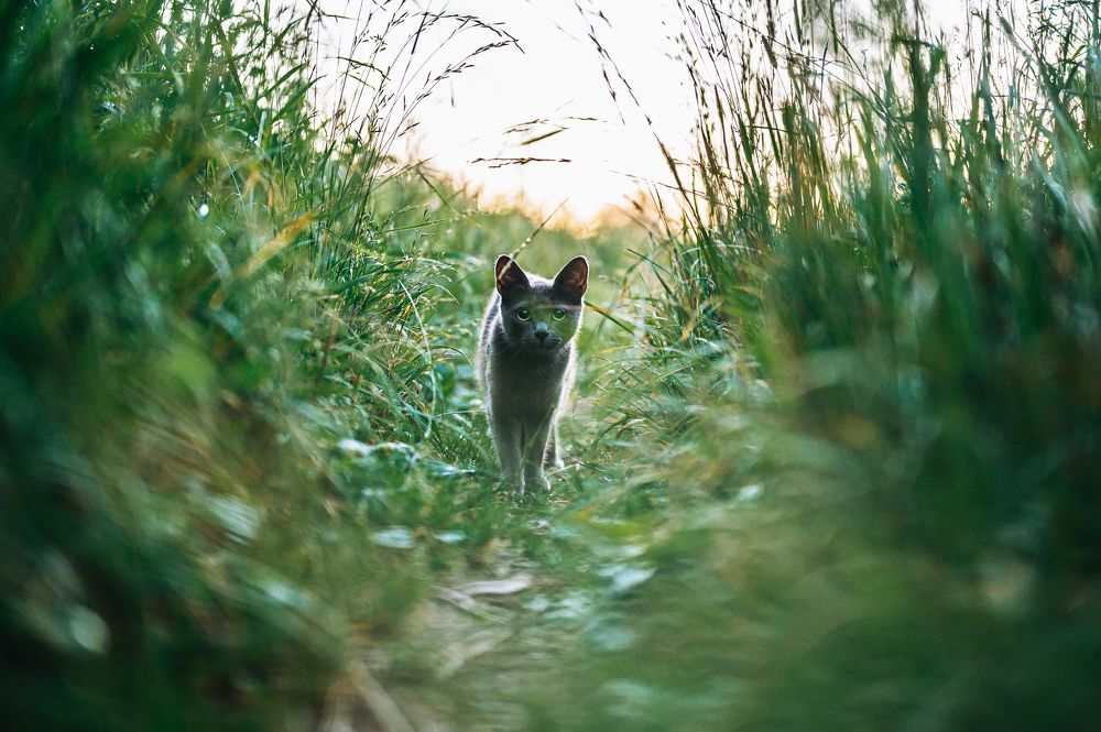 Photograph by Антон Роук