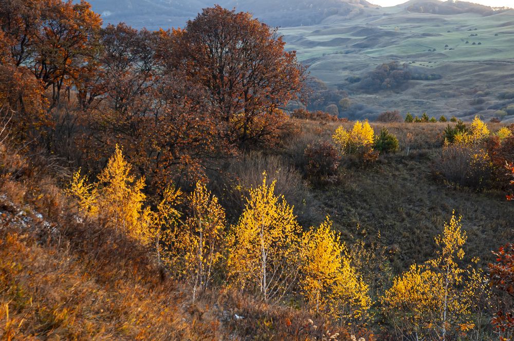 Photograph by Сергей Савчук