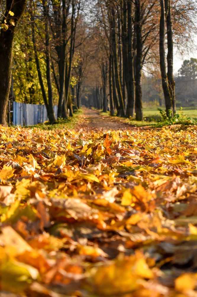 Photograph by Татьяна Сурова