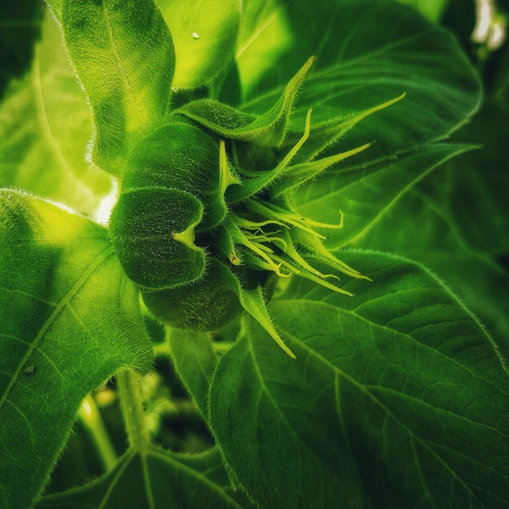 Фотография автора reyhane  khavaninzadeh