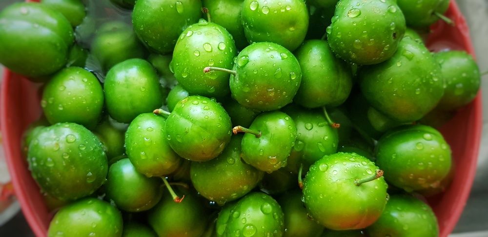 Фотография автора reyhane  khavaninzadeh