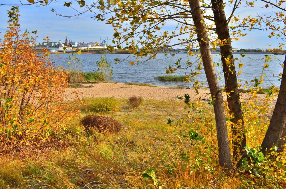 Фотография автора Клавдия Васильева