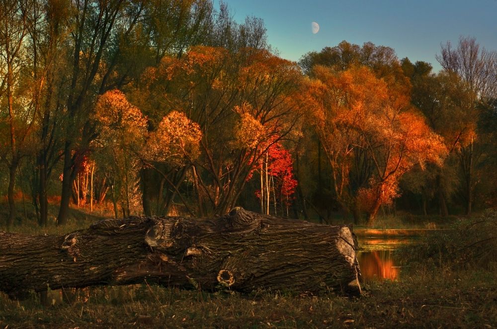 Photograph by Kveta Novotna