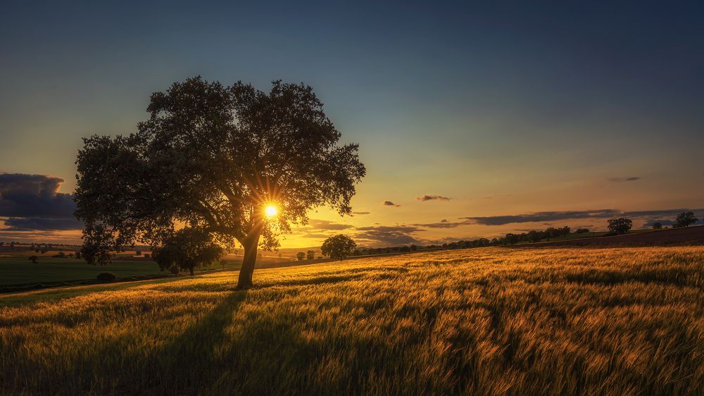 Photograph by Alberto Alonso