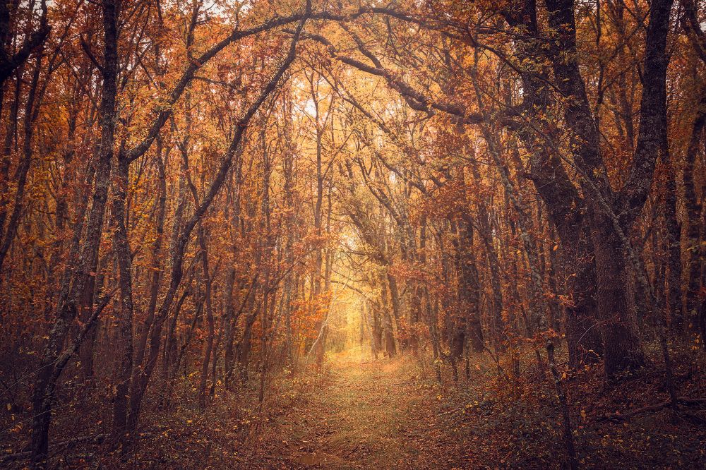 Photograph by Alberto Alonso