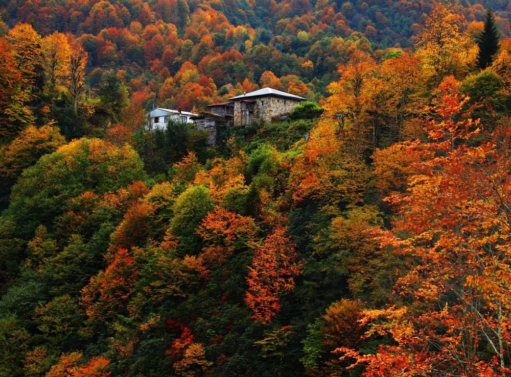 Photograph by Esin Sağır