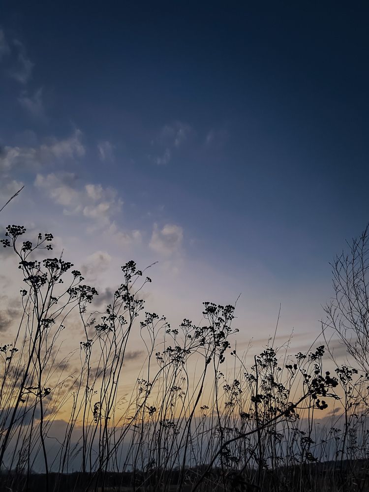 Photograph by Анна Леонова