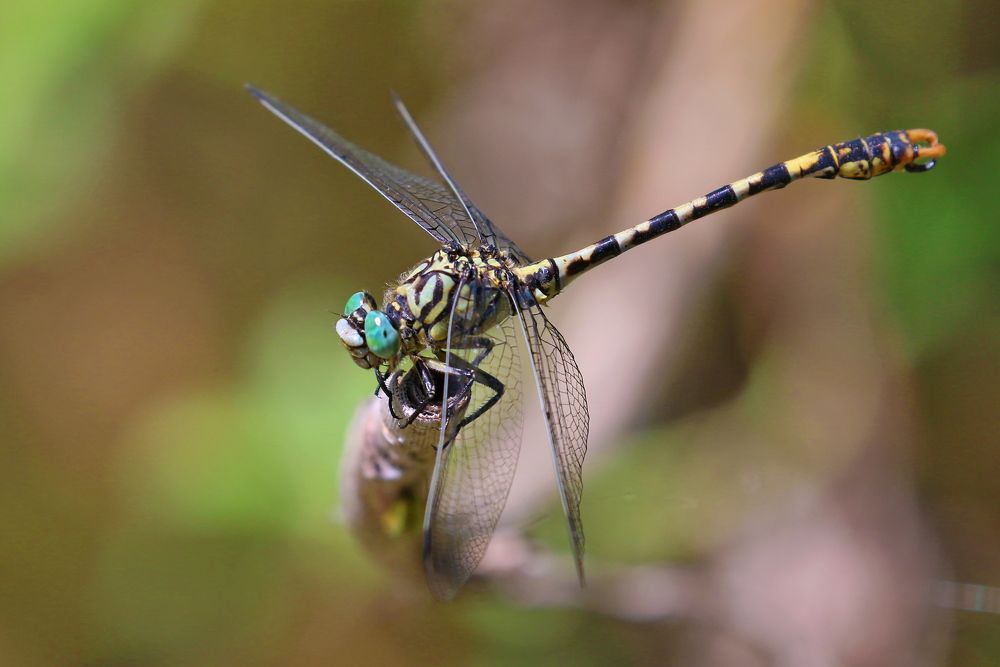 Photograph by Прокопов Григорий