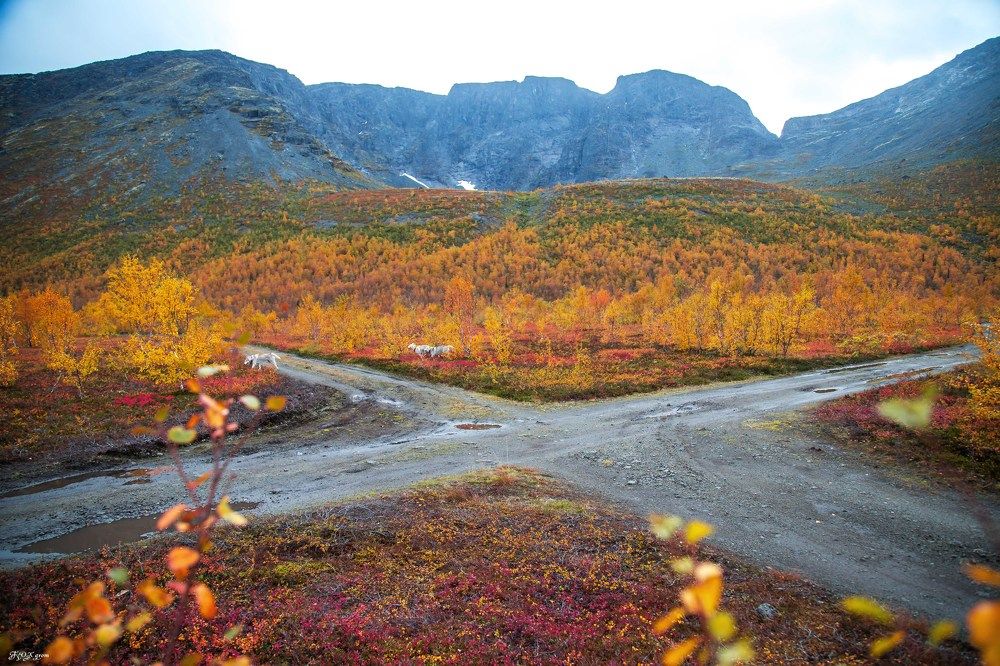 Photograph by владимир