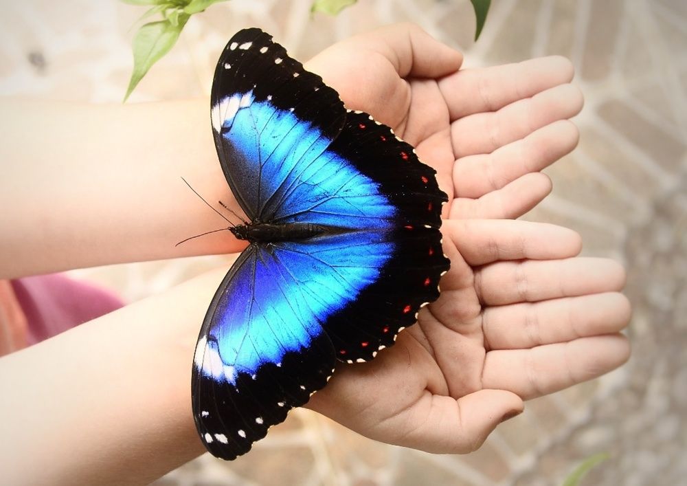 Фотография автора Marcia Araujo