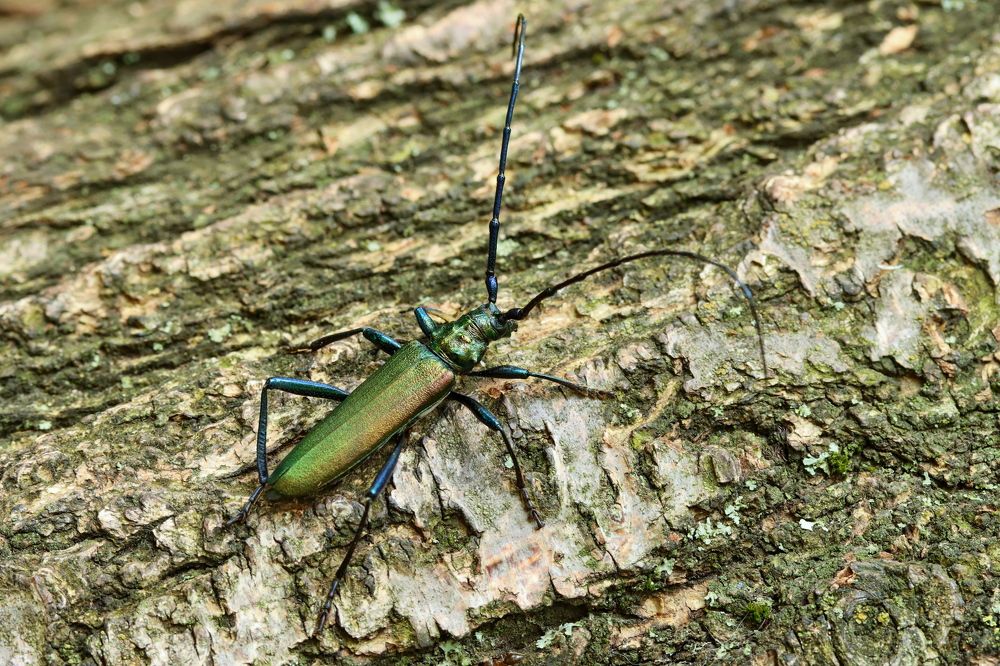 Photograph by Прокопов Григорий