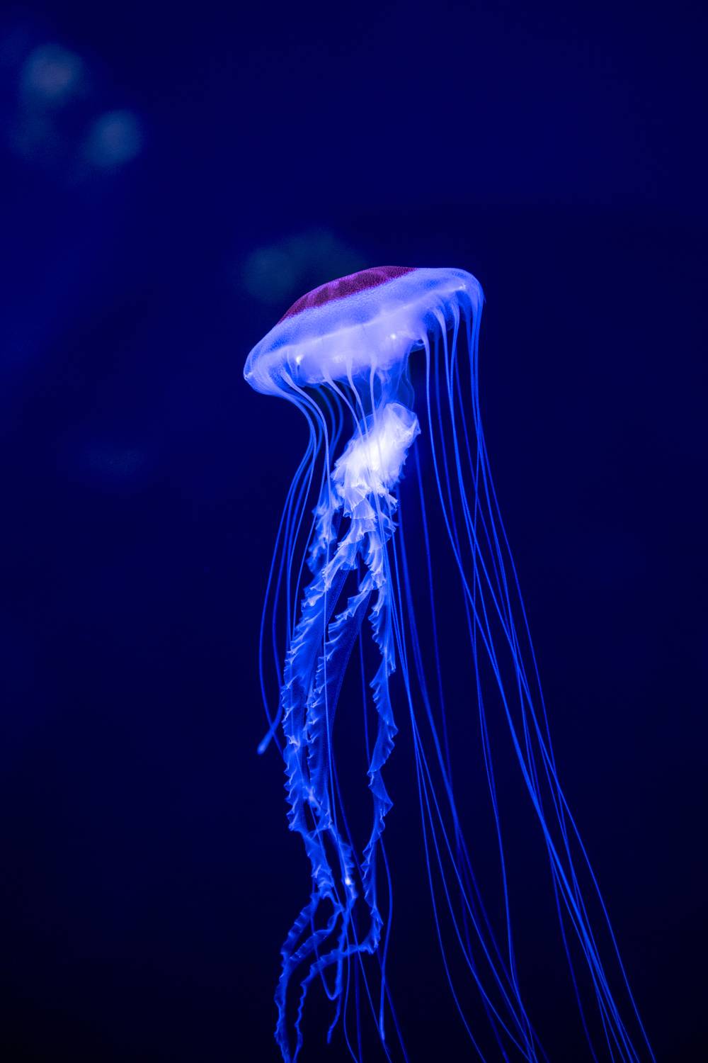 Photo #8053579