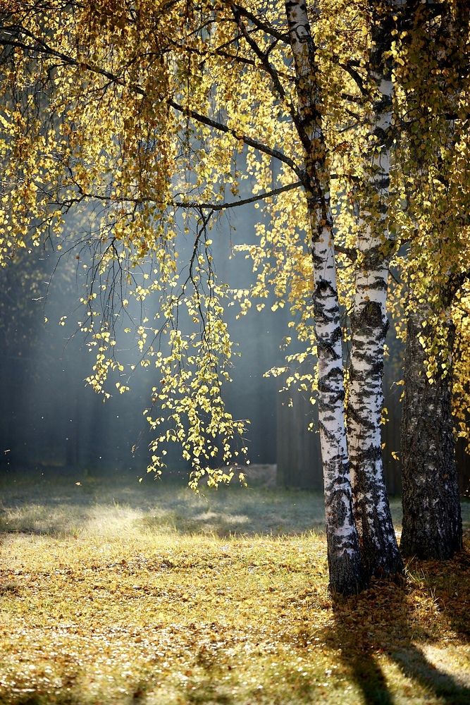 Photograph by Алексей Романов