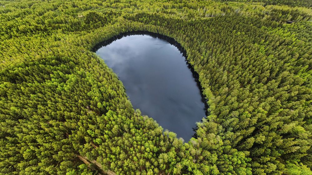 Photograph by АНДРЕЙ АБАКУМОВ