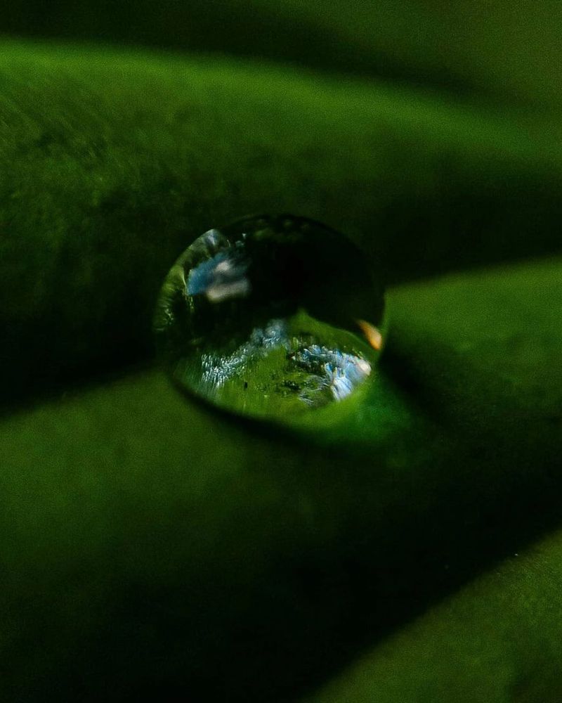 Photograph by ТАТЬЯНА ПАНОВА