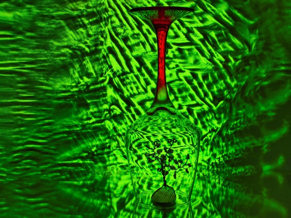 Photograph by Kveta Novotna