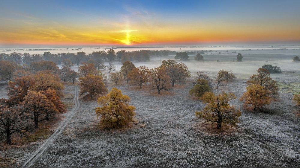 Photograph by АНДРЕЙ АБАКУМОВ