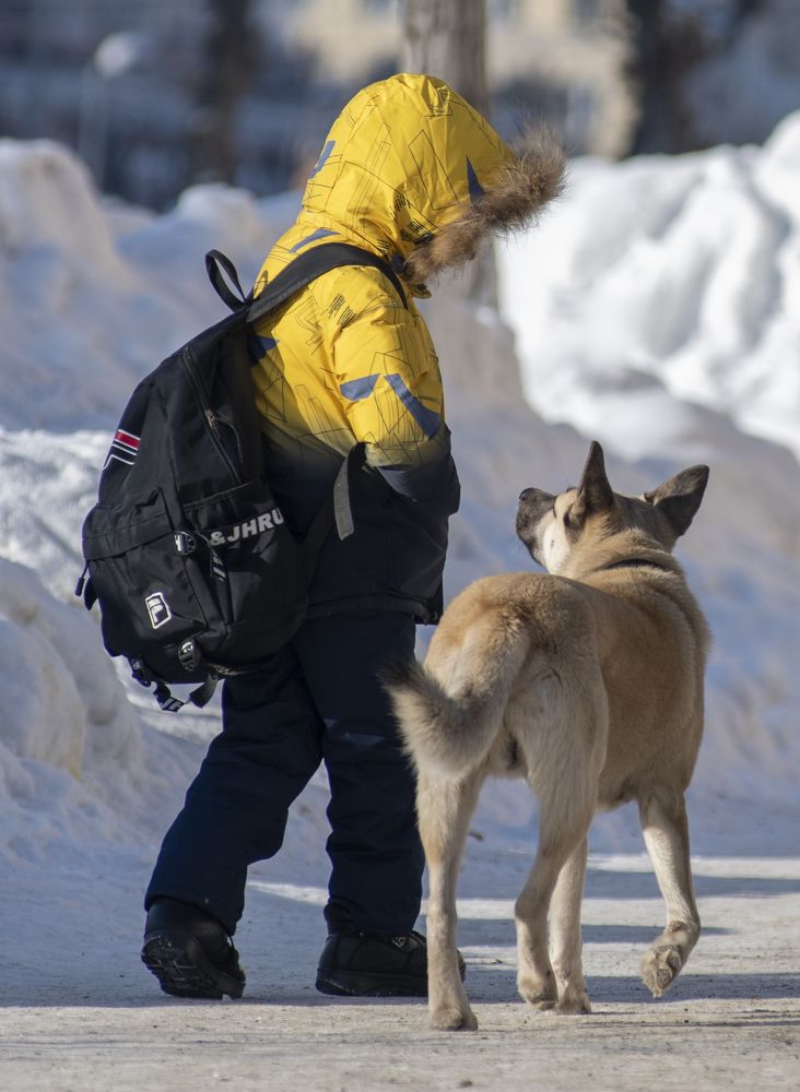 Photograph by Сергей Шерстнев