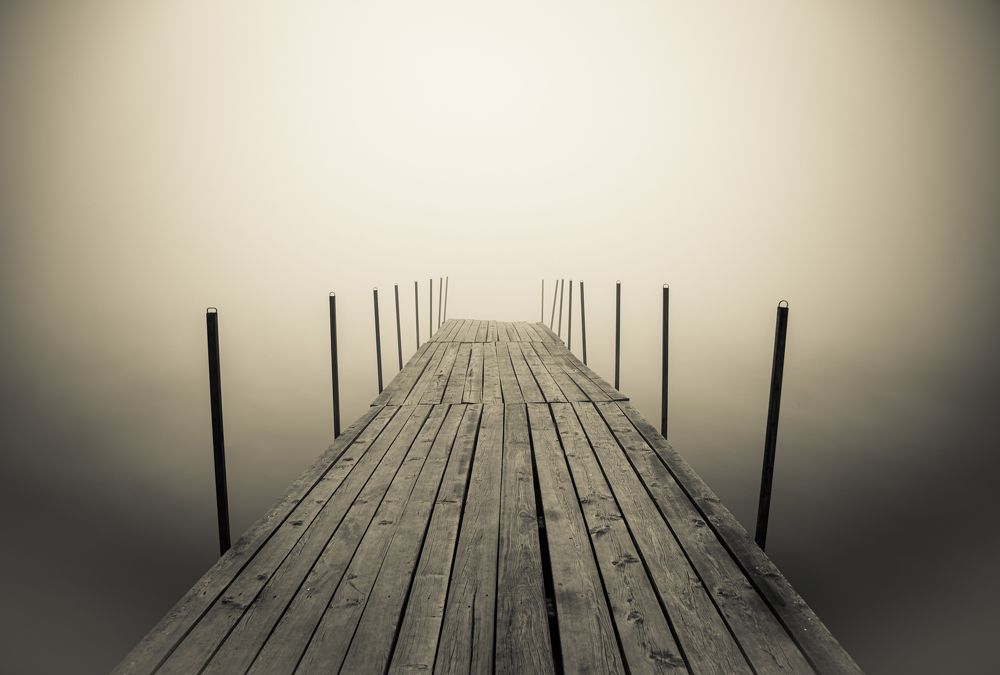 Фотография автора NIKOLAY KALININ