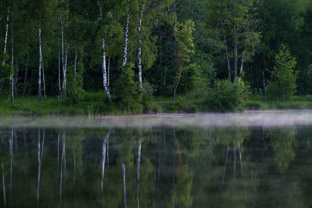 Photograph by Jānis Sērdienis