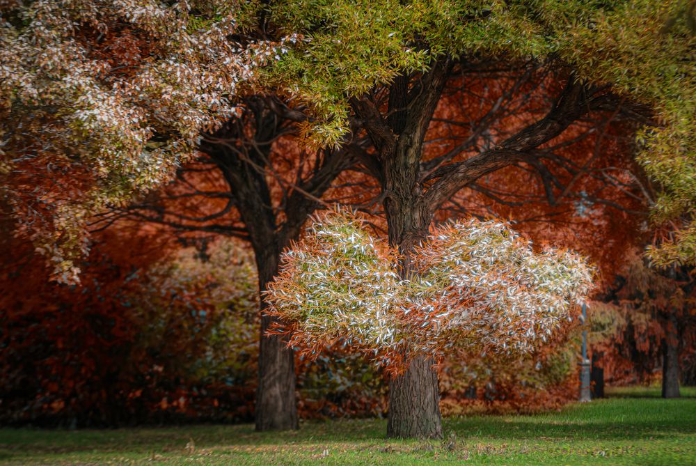 Photograph by Кирилл Богомазов