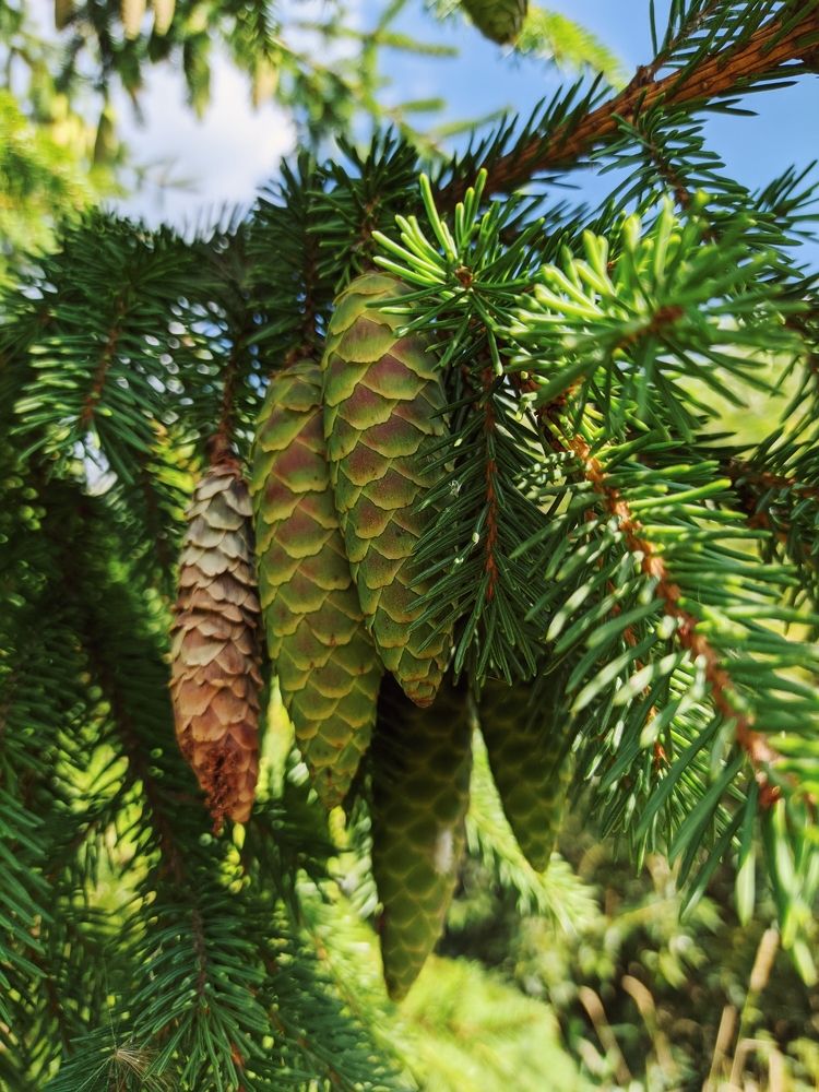 Photograph by Светлана