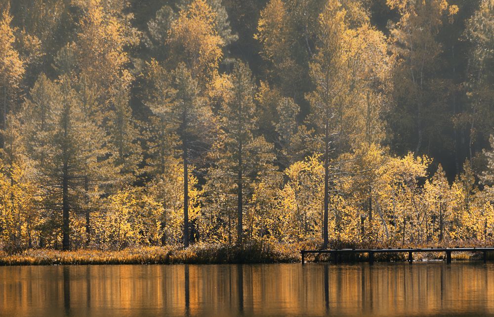 Фотография автора Лариса Кисурина