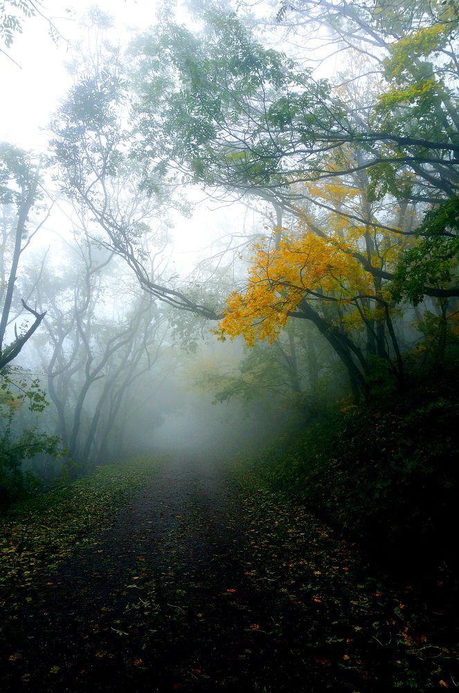 Photograph by Вадим Юрьевич