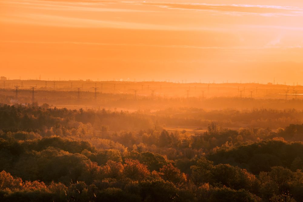 Photograph by Greg Noakes