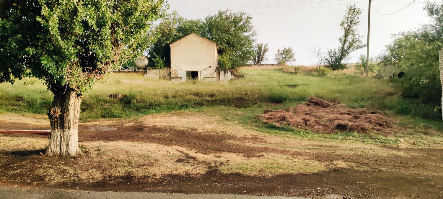 Photo #8053787