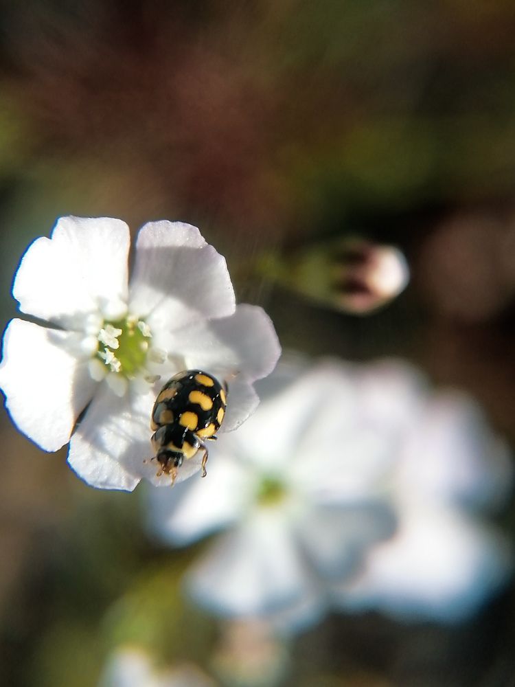 Photograph by Светлана Шелухеева