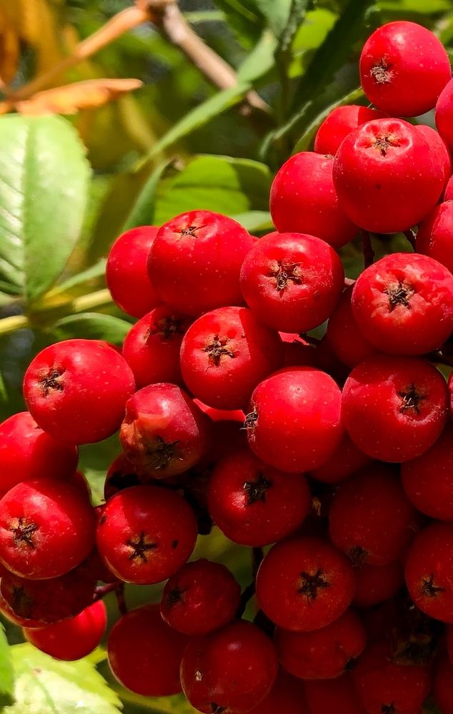 Photograph by Римма Большакова