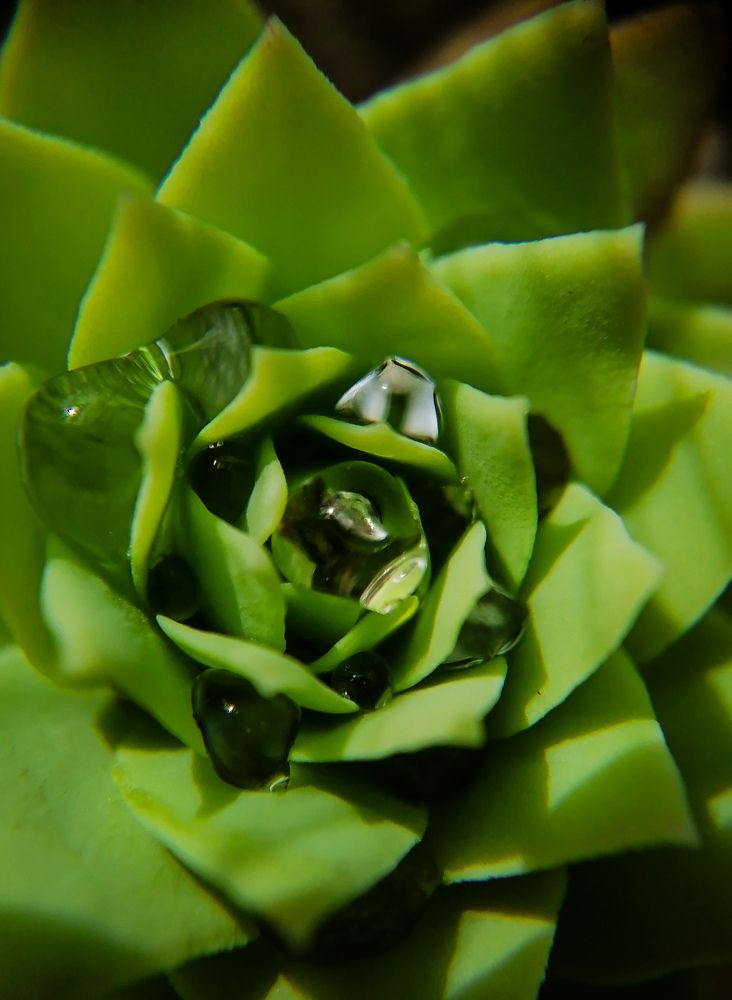 Photograph by Светлана Шелухеева