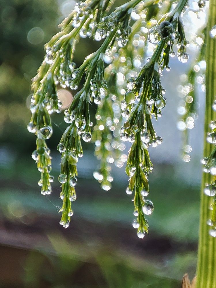 Photograph by Оксана Шевченко