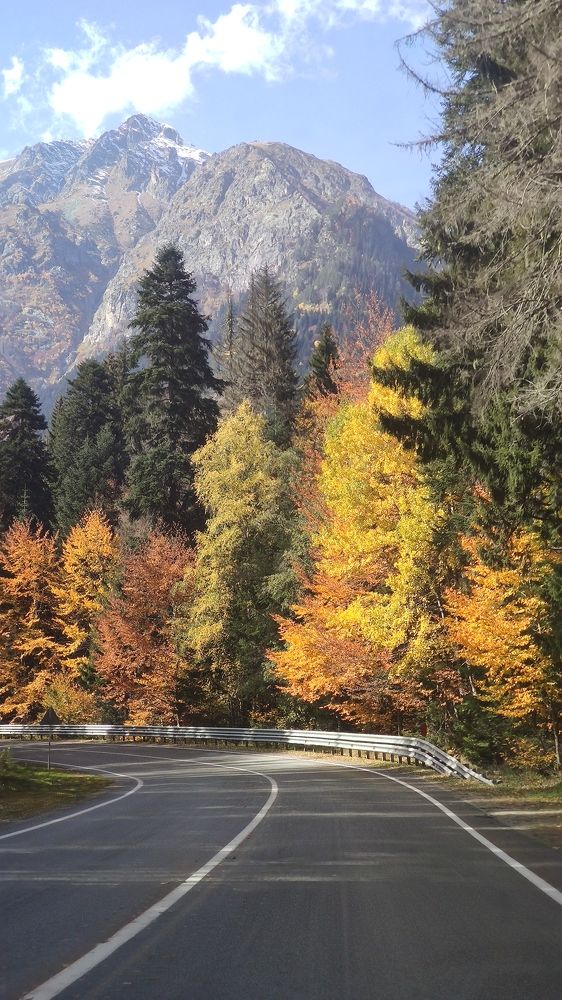 Photograph by Олег Карданов