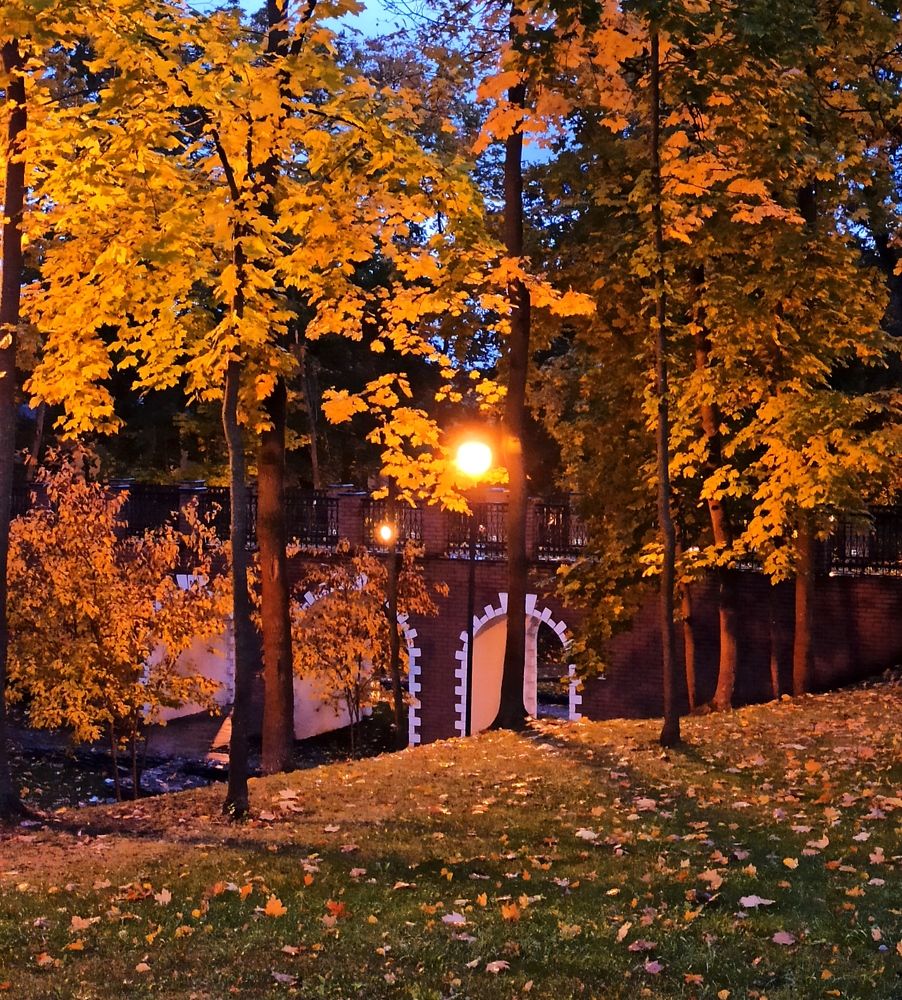 Photograph by Наталья Соколова