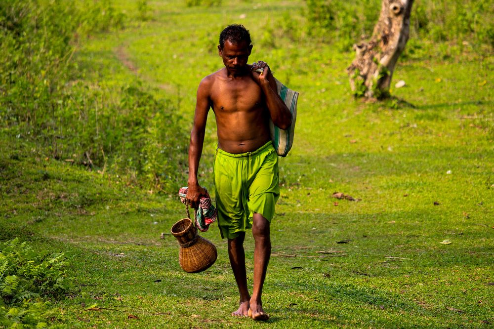 Фотография автора Suman Roy